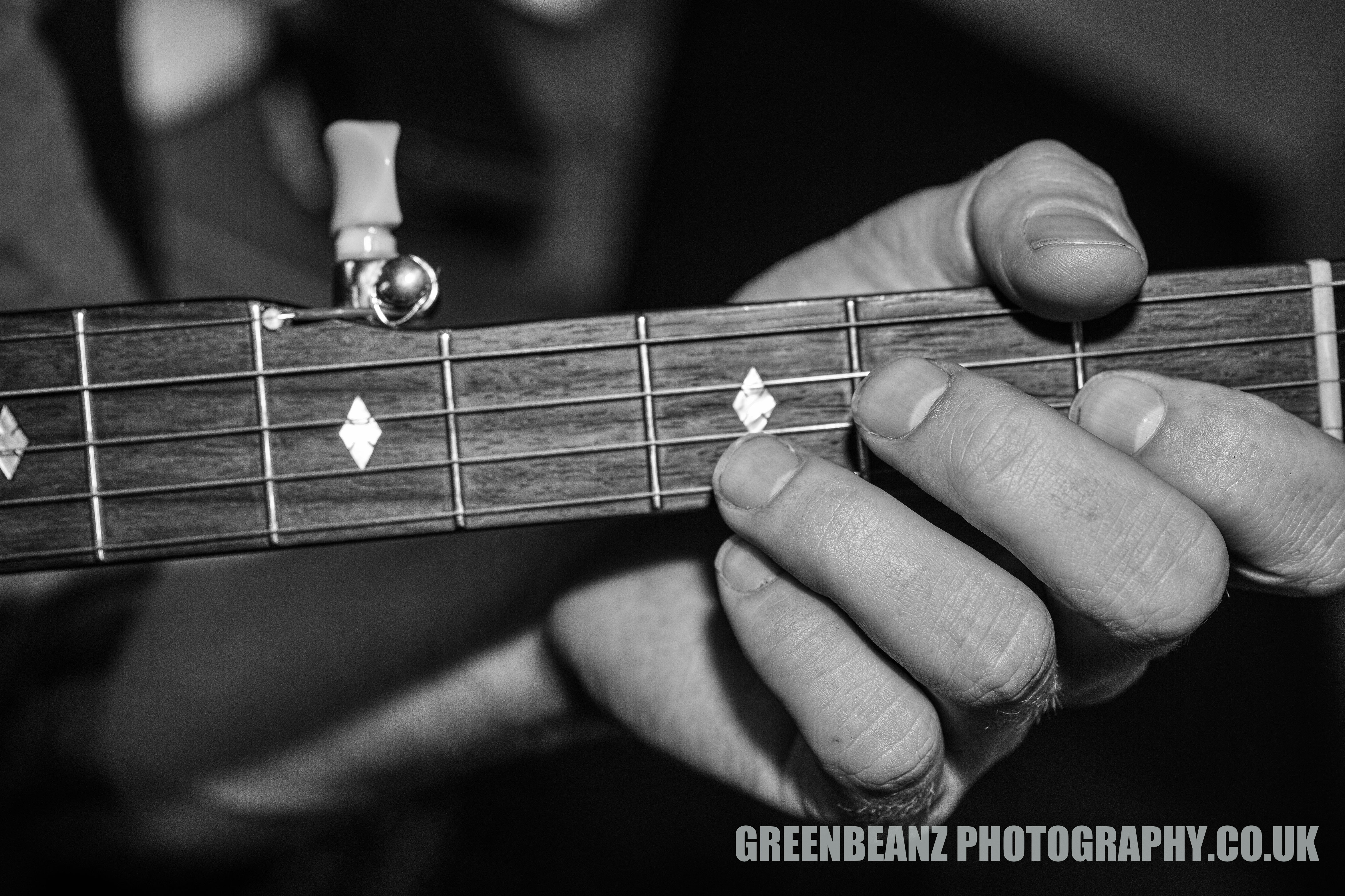 Banjo close up